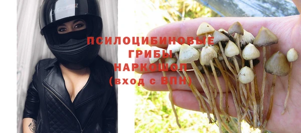 прущая мука Козловка