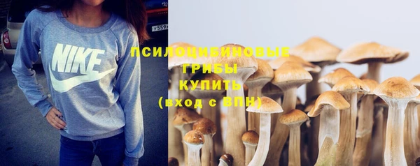 mdpv Козельск