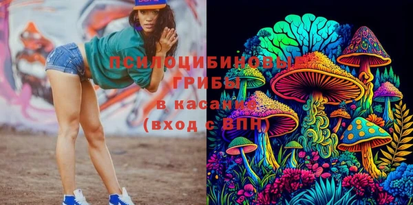 mdpv Козельск