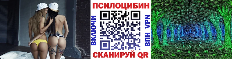Галлюциногенные грибы Psilocybe  Йошкар-Ола 